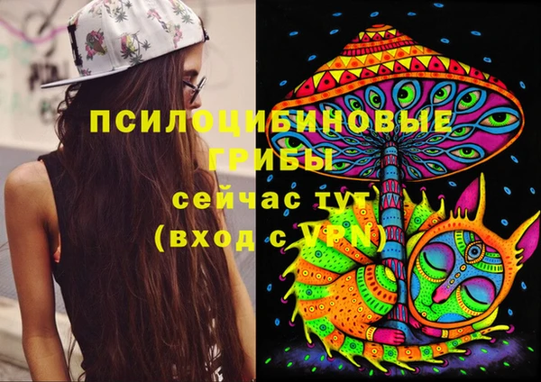 кокаин премиум Алексин