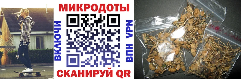 Купить где  Кадников  Галлюциногенные грибы Magic Shrooms 